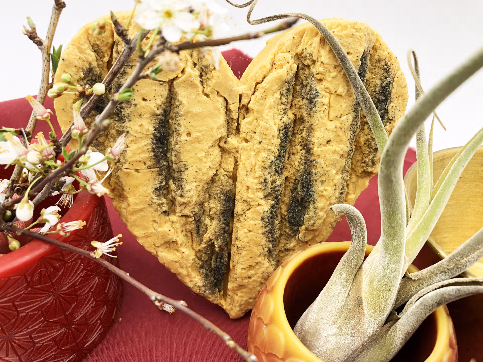 coeur écore cire d'abeille beilsens plante