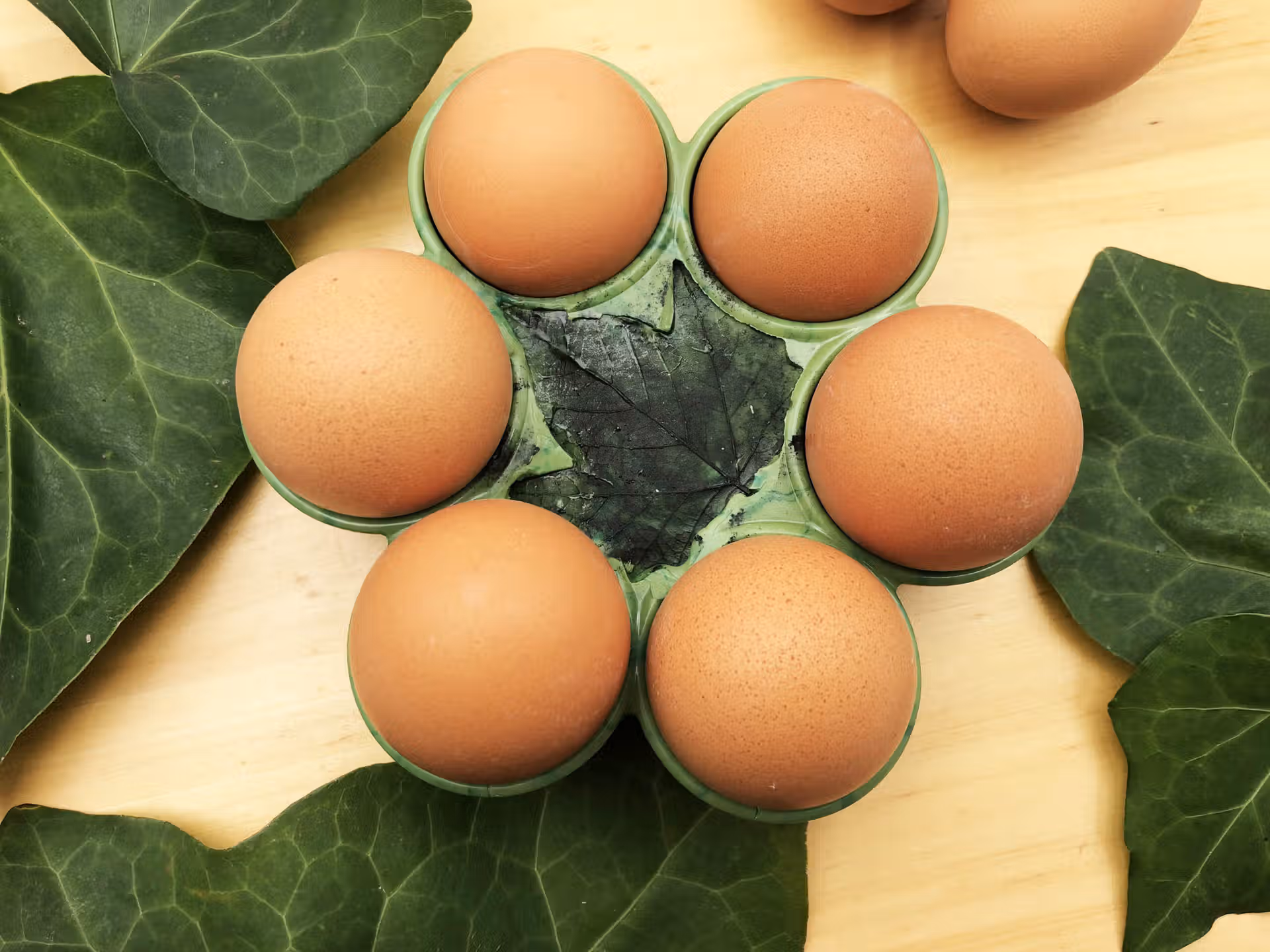 Présentoir rond cire d'abeille beilsens vert empreinte feuille avec oeuf